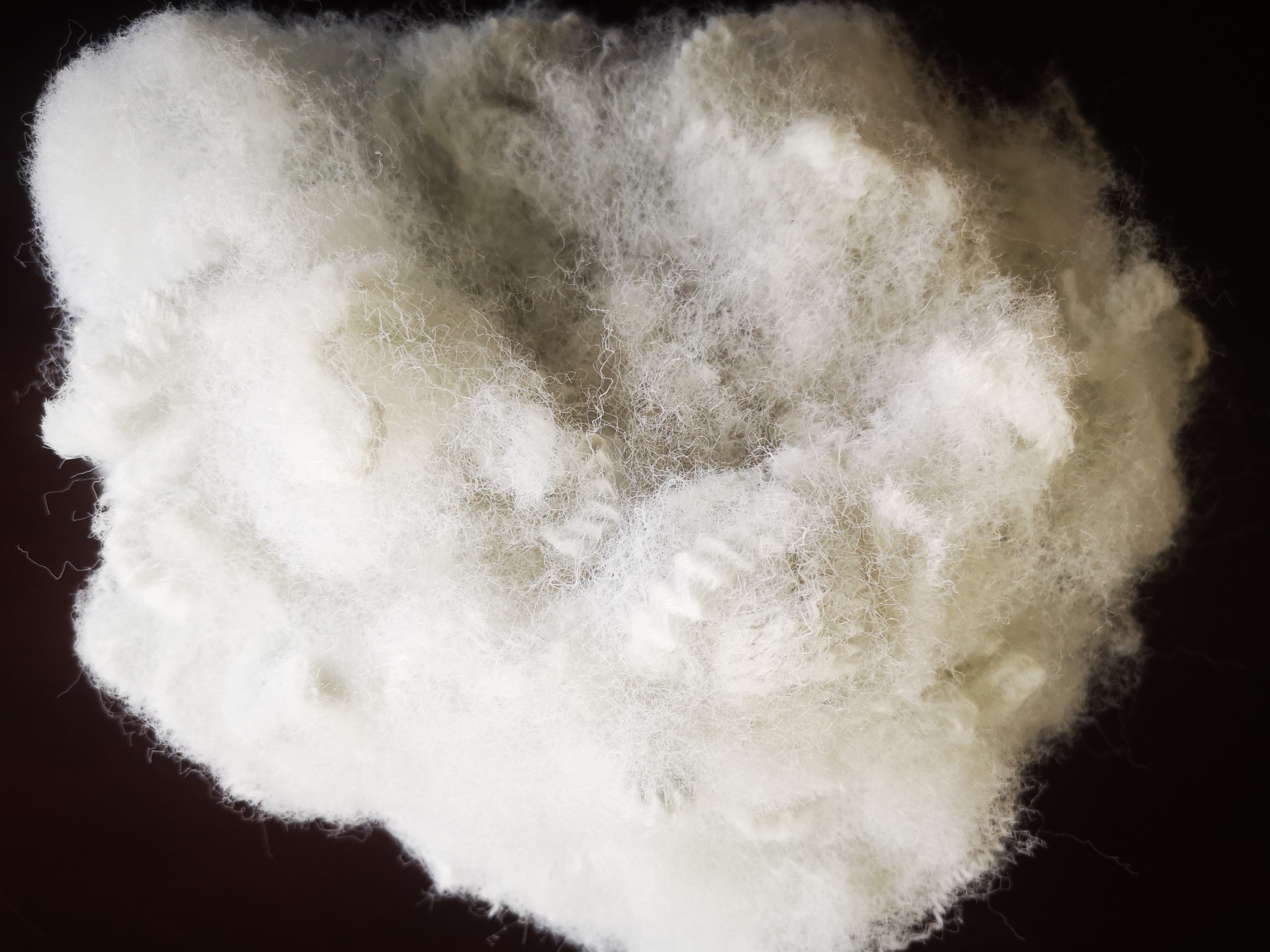 HARSH HAND FEEL POLYESTER STAPLE FIBER 15D-30D