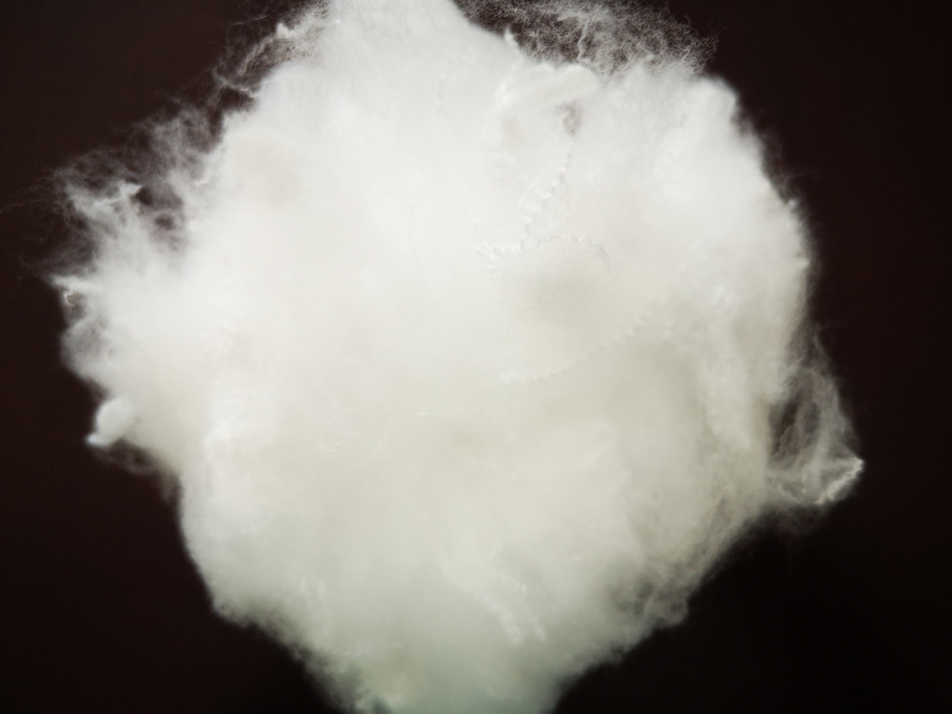 HIGH-QUALITY RECYCLED POLYESTER STAPLE FIBER, 1.2D-1.5D