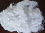 15D-WHITE