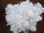 20D-WHITE