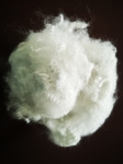 FLAME RETARDENT FINISHING POLYESTER STAPLE FIBER 1.2D-30D