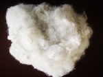 HARSH HAND FEEL POLYESTER STAPLE FIBER 15D-30D