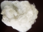 HARSH HAND FEEL POLYESTER STAPLE FIBER 15D-30D