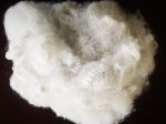 HARSH HAND FEEL POLYESTER STAPLE FIBER 15D-30D