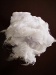 HYDROPHILIC FINISHING POLYESTER STAPLE FIBER 1.2D-30D