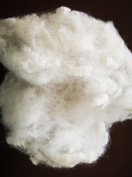 RECYCLED FIBER FOR FILLING 1.2D-30D