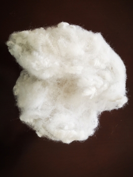 RECYCLED FIBER FOR FILLING 1.2D-30D