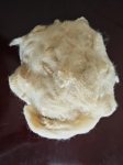 3d Light brown