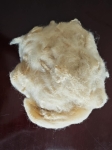 3d Light brown